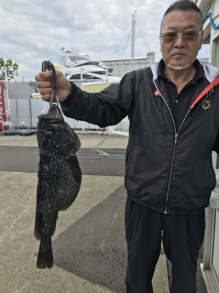 小樽の海を楽しむ ソイ部門 釣り情報 小樽港マリーナ