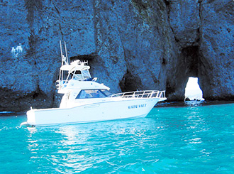 Boat Tours
