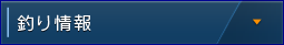 釣り情報