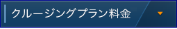 クルージング料金