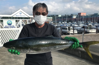 魚種:ブリ 重量:5.69kg