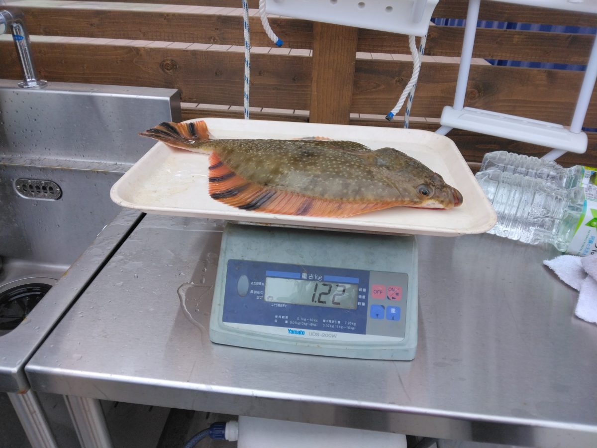 魚種:カレイ 重量:1.22kg