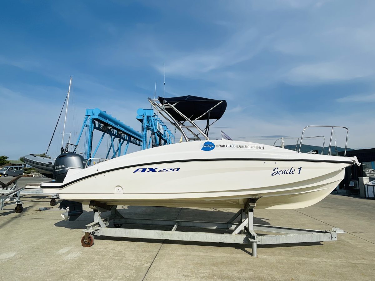 YAMAHA AX220