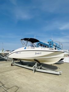 YAMAHA AX220