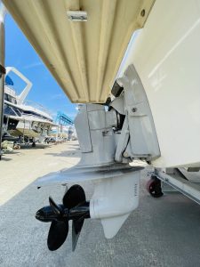 カリビアンバートラム23